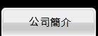 公司簡介